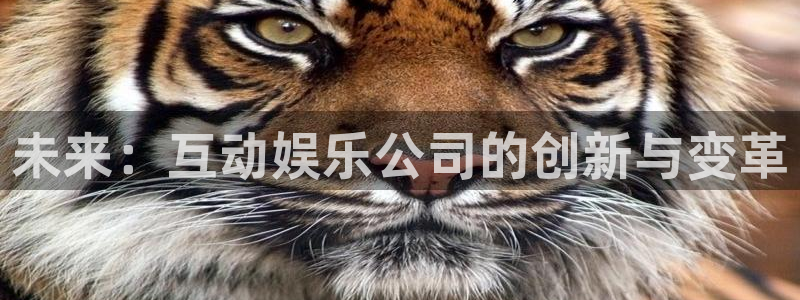 jdb电子游戏官方网站：未来：互动娱乐公司的创新与变革