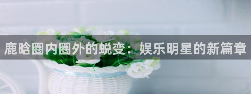 jdb电子飞鸟派对：鹿晗圈内圈外的蜕变：娱乐明星的新篇章