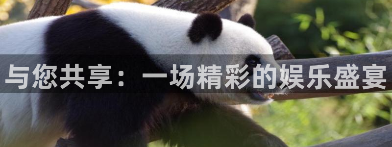 jdb电子哪个好赢钱：与您共享：一场精彩的娱乐盛宴