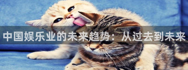 jdb电子网址：中国娱乐业的未来趋势：从过去到未来