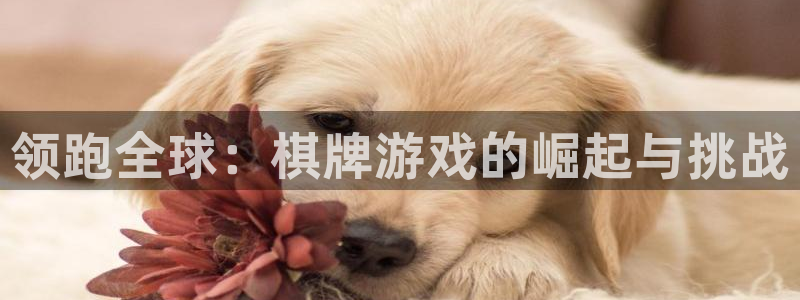 jdb电子哪个好赢钱：领跑全球：棋牌游戏的崛起与挑战