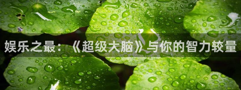 jdb电子游戏官网：娱乐之最：《超级大脑》与你的智力较量